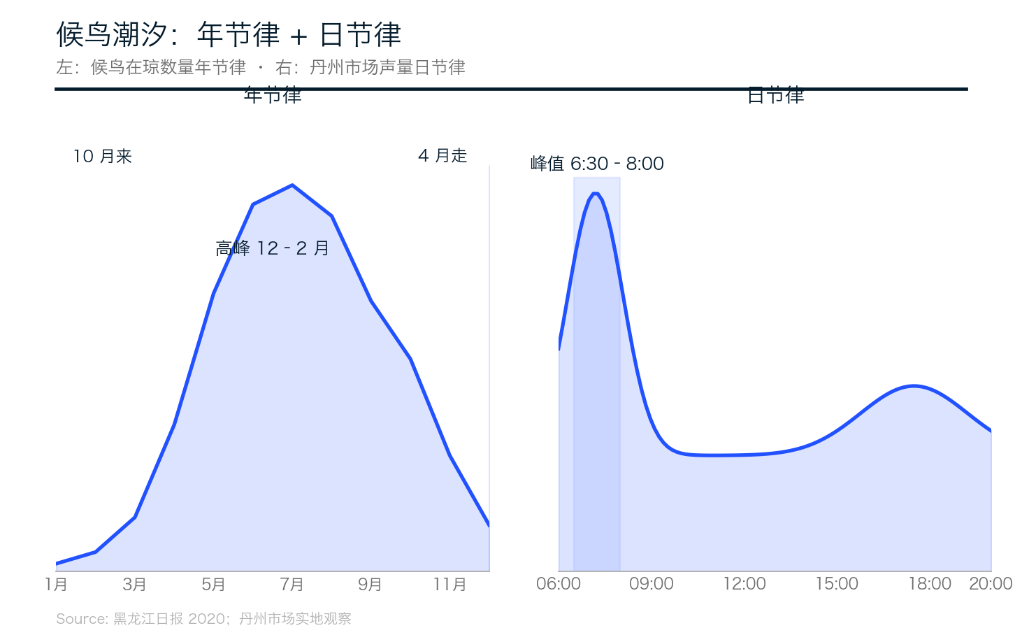 候鸟潮汐的年节律与日节律